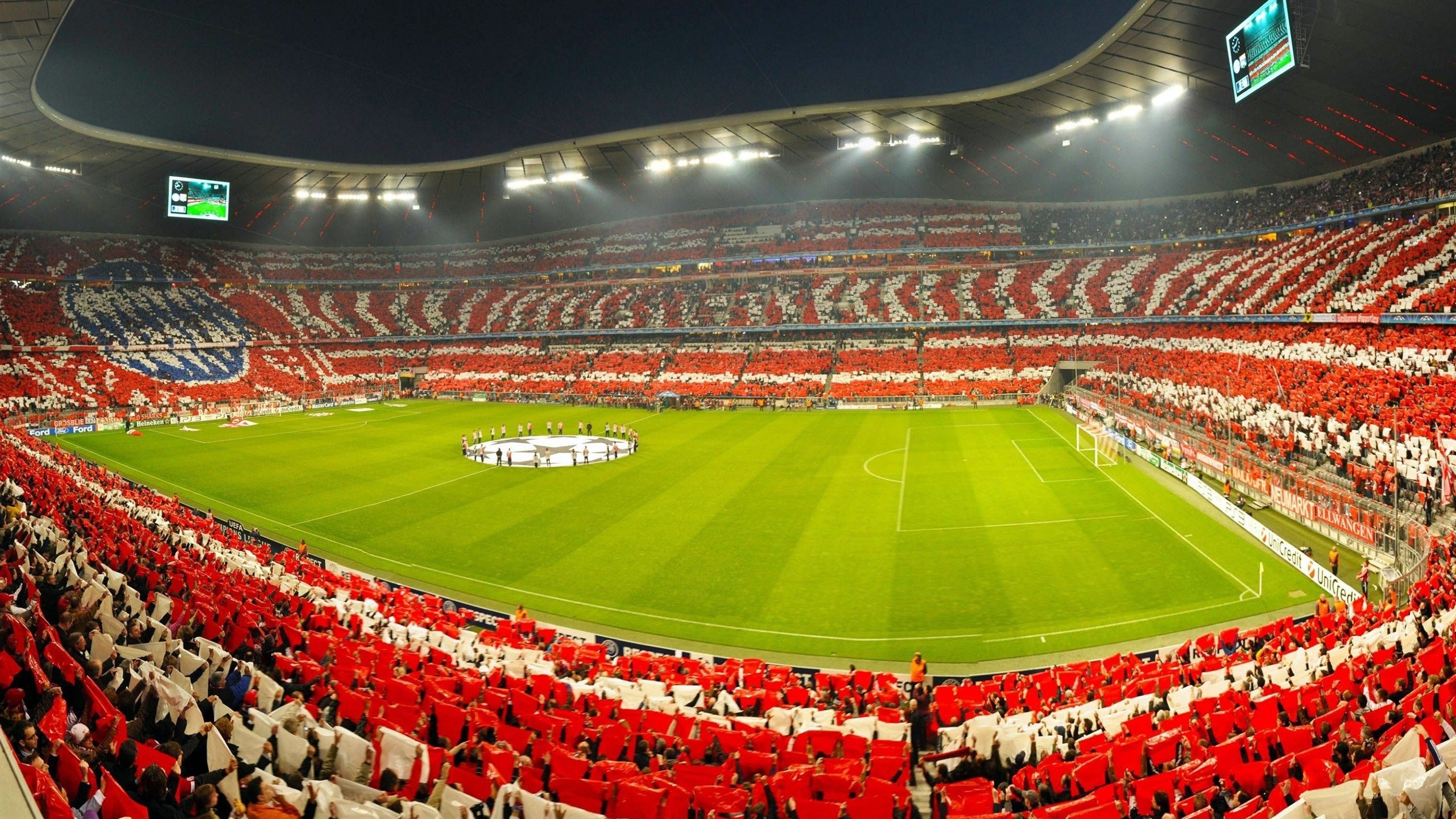 公牛举办“球员创业大赛”，激发创新活力，公牛 球队