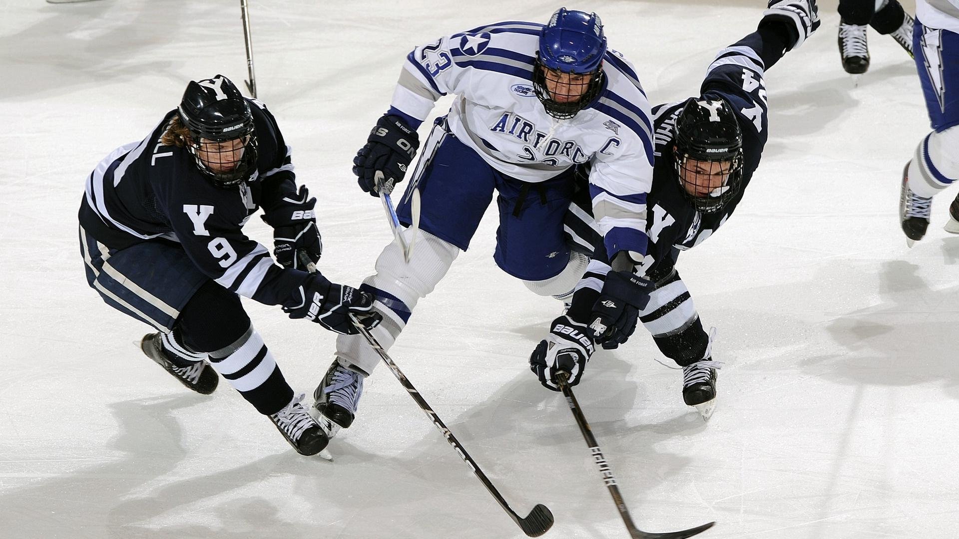 法国击剑队在主场赢得多枚金牌，法国击剑名将